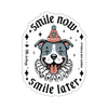 Smile Now, Smile Later | Kiss-Cut Stickers
